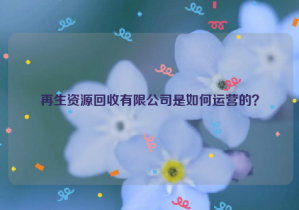 再生資源回收有限公司是如何運營的？